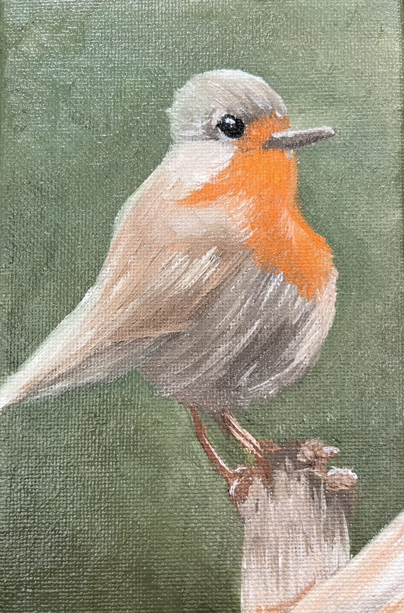 Feathered Friend by Margo Myers